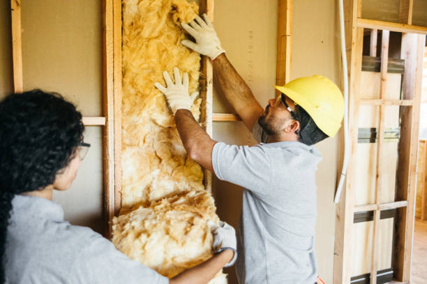 Best Home Insulation Services  in Lake Tapps, WA