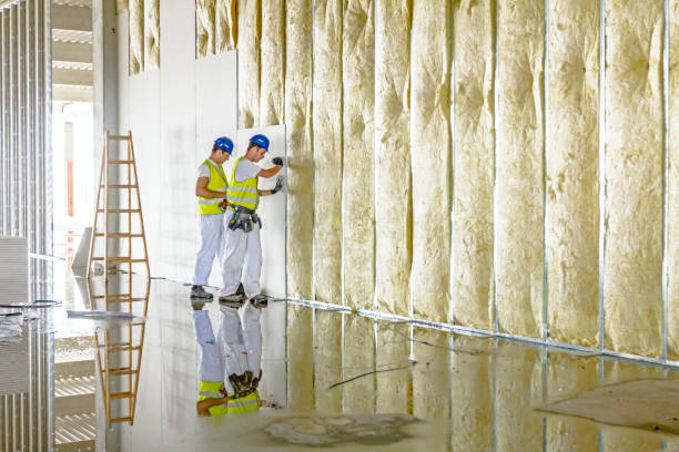 Best Fiberglass Insulation  in Lake Tapps, WA